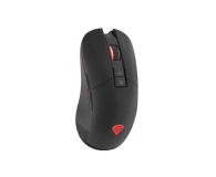 Genesis Zircon 330 - 1077383 - zdjęcie 2